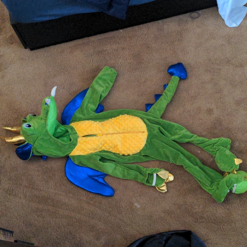 Dragon costume 5T